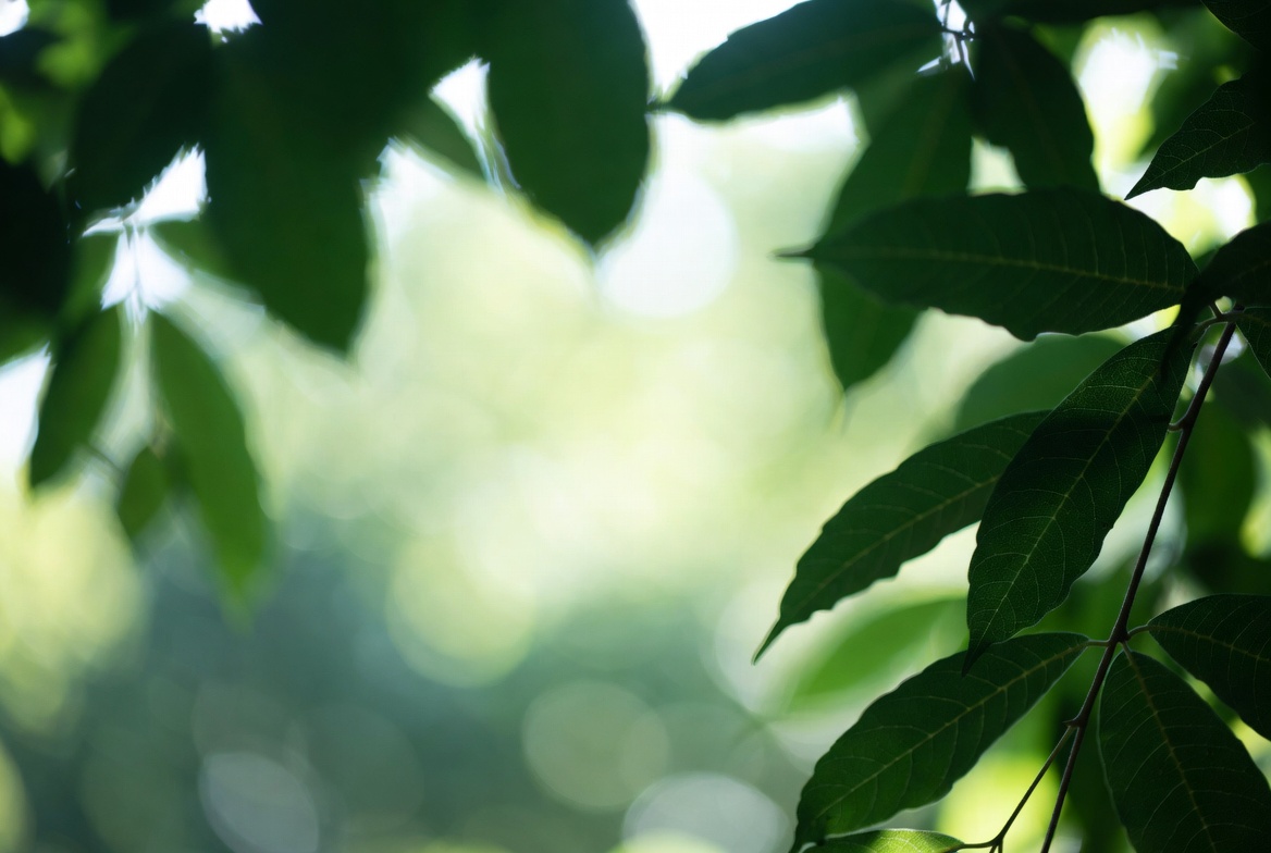 Мониторинг состояния пациентов с БАС